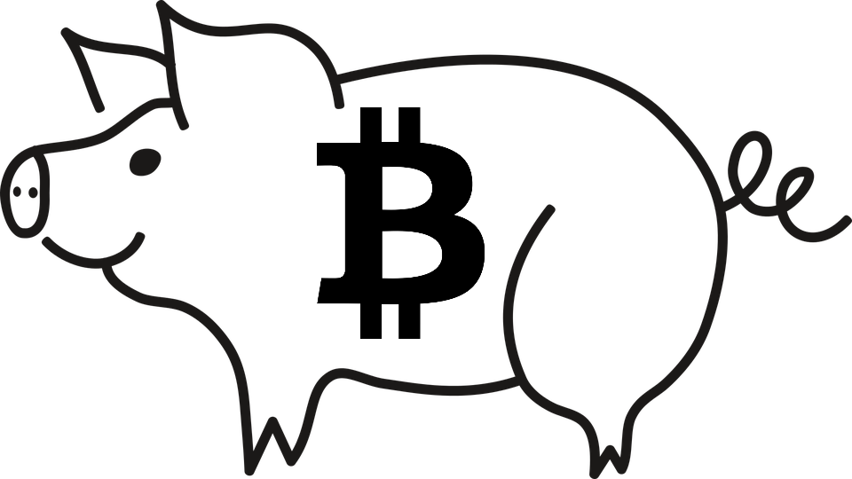 0 Replies 1 Retweet 16 Likes - Black And White Clipart Pig (960x540)
