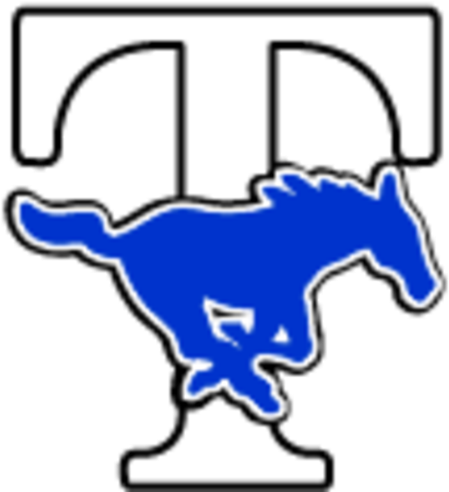 The Taylor Mustangs - Taylor High School Logo (720x720)