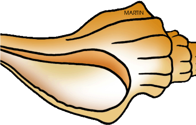 Shell Clipart Horse Conch - Shell Clipart Horse Conch (640x480)