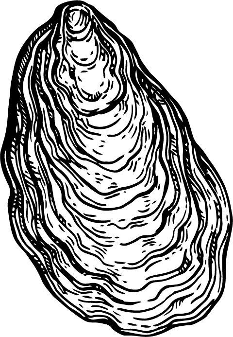 Grilled Calamari Tossed In Med Salsa Topped With Rocket - Grilled Calamari Tossed In Med Salsa Topped With Rocket (480x693)