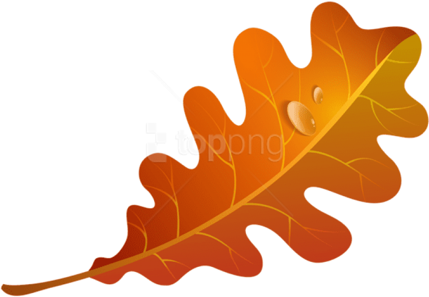 Free Png Download Fall Orange Leaf Clipart Png Photo - Orange Fall Leaf Clip Art (850x586)