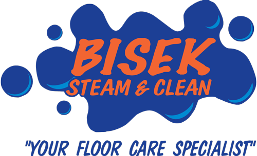 Steam & Clean Logo - Graphic Design (500x305)