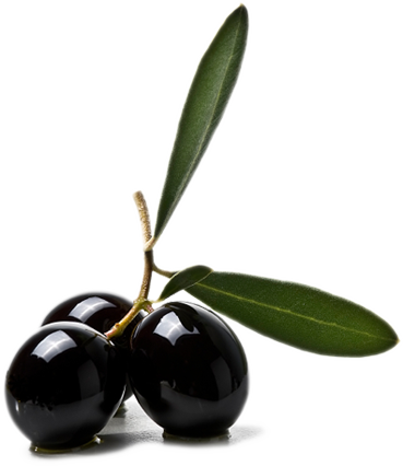 Olive Png - Olives And Olive Oil Png (369x426)
