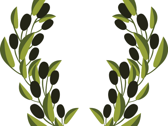 Olive Clipart Vector - Olive Branches Clip Art (640x480)