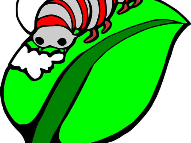 Worm Clipart Purple Caterpillar - Worm On The Leaves Clipart (640x480)