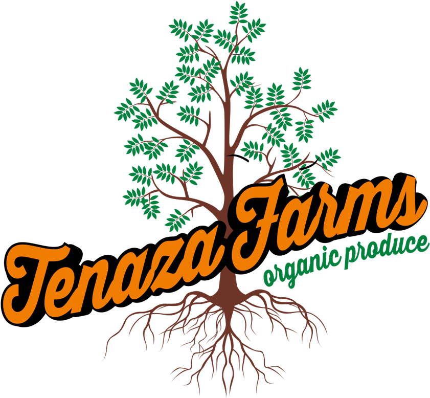 Tenaza Farms, South Texas Organic Vegetables, Rgv Certified - Calligraphy (865x800)
