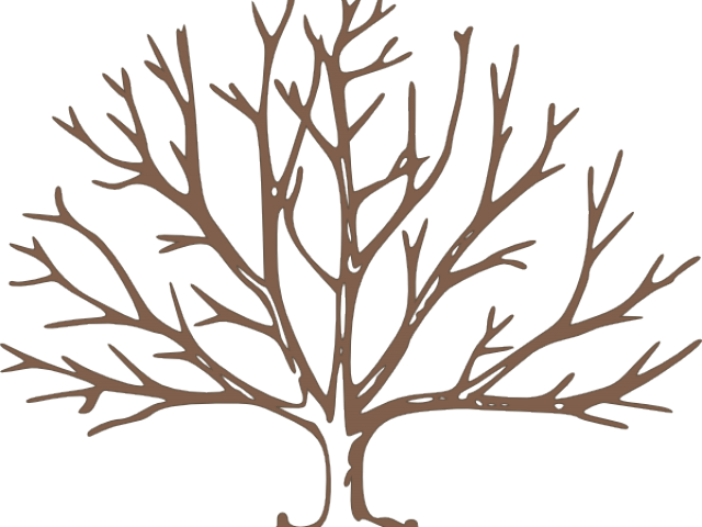 Bare Cliparts - Draw A Tree With Snow (640x480)