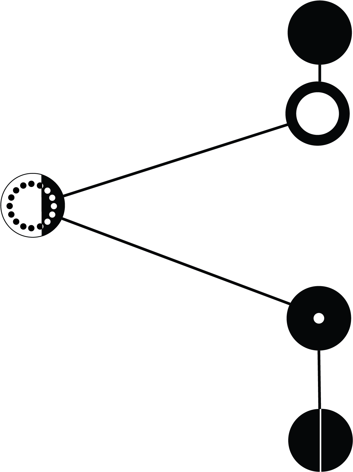 Avery - Circle (1801x1801)