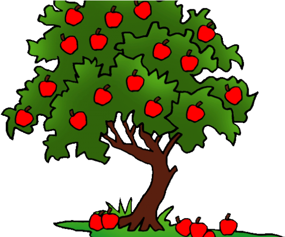 Spirit Clipart Fruit - Drawing Of A Apple Tree (640x480)