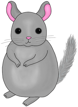 Little Chinchilla Messages Sticker-0 - Rat (412x576)