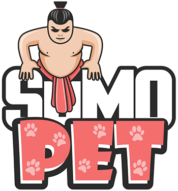 5 Best Chinchilla Cage Compared & Reviewed [buyers - 5 Best Chinchilla Cage Compared & Reviewed [buyers (350x376)