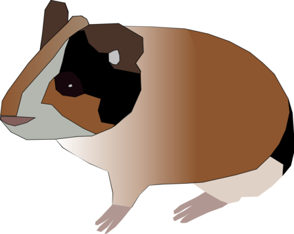 Download Similars - Guinea Pig Clipart Png (426x340)