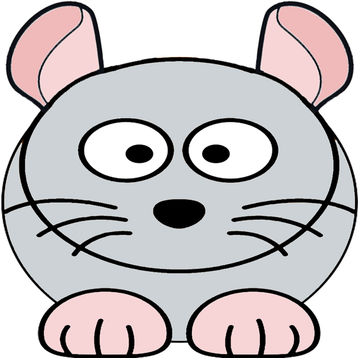 Chinchilla - Cat (1000x1000)