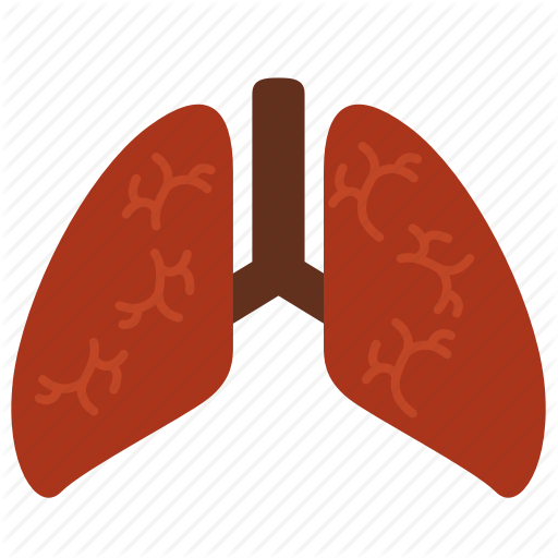 512 X 512 1 - Illustration (512x512)