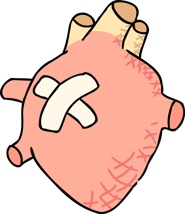 Vector Illustration Of Human Heart With Band-aid - Vector Illustration Of Human Heart With Band-aid (603x700)