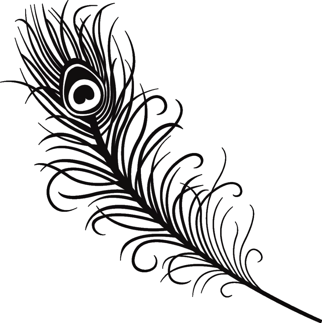 #silhouette #feather #peacock #peacockfeather #black - Peacock Feather Line Drawing (1024x1026)