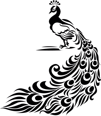 Transparent Download Pavo Real Dibujo Buscar Con Google - Black And White Peacock Designs (500x500)