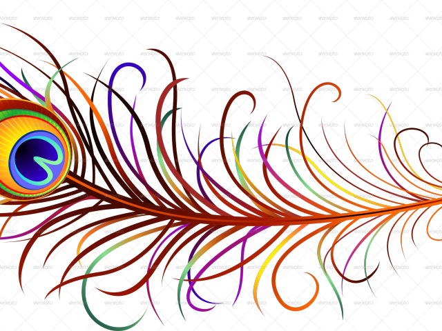 Ink Clipart Peacock Feather - Peacock Feather Png Clipart (640x480)