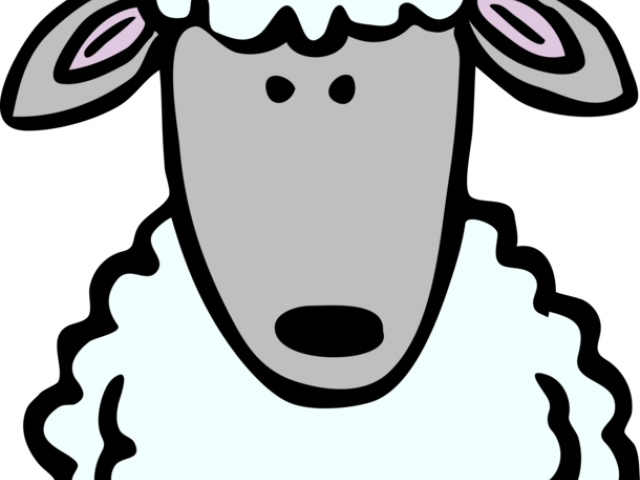 Mammal Clipart Sheep - Sheep Clip Art (640x480)