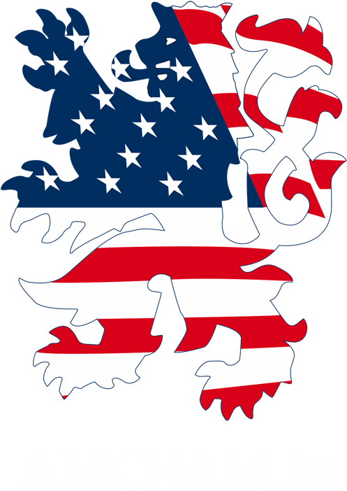 Partenaires / Partners - Amcham Luxembourg Png (500x708)