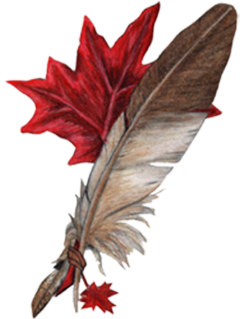 Clip Art Related Wings Transprent Png Free - Feathers (800x800)