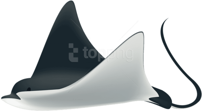 Free Png Download Ray Fish Clipart Png Photo Png Images - Dolphin (850x468)