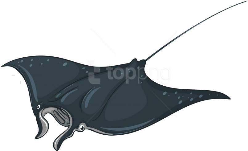 Download Skate Fish Clipart Png Photo - Manta Ray Transparent Background (850x509)