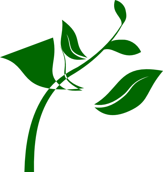 Growing Plant Clip Art (564x595)
