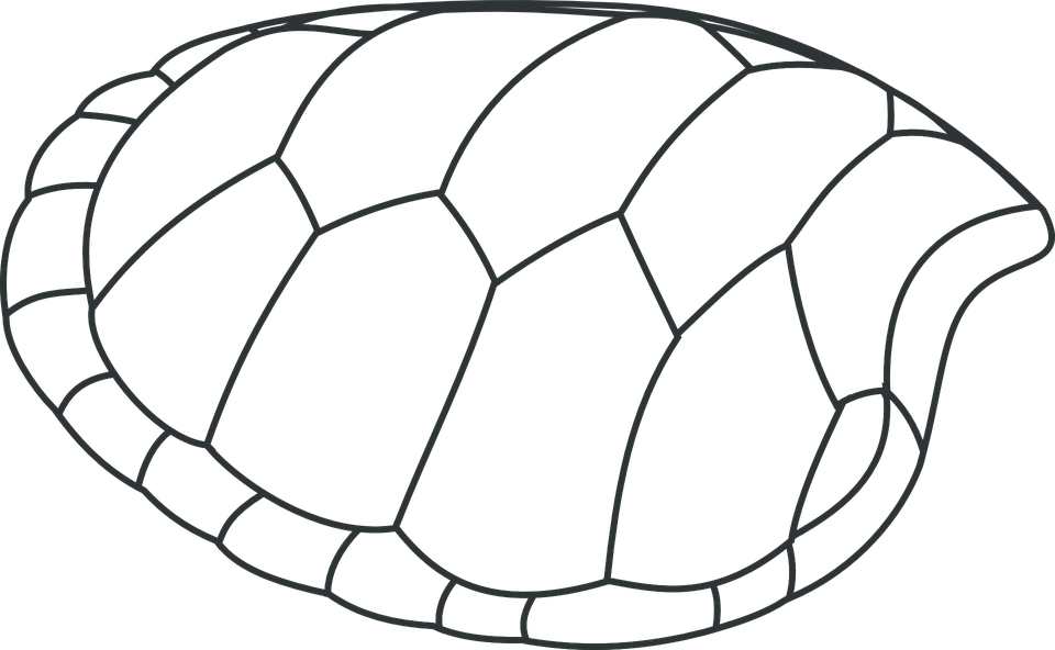 960 X 592 1 - Turtle Clip Art (960x592)