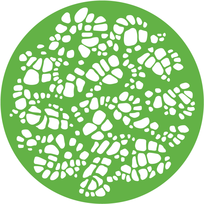 Turtle Shell - Circle (800x800)