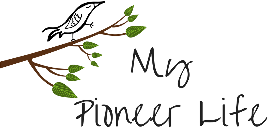 My Pioneer Life - My Pioneer Life (924x512)