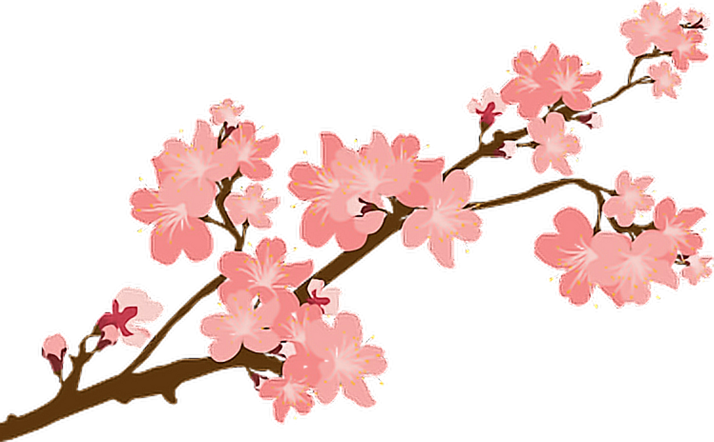Report Abuse - Sakura Blossom Branch Png (1024x635)