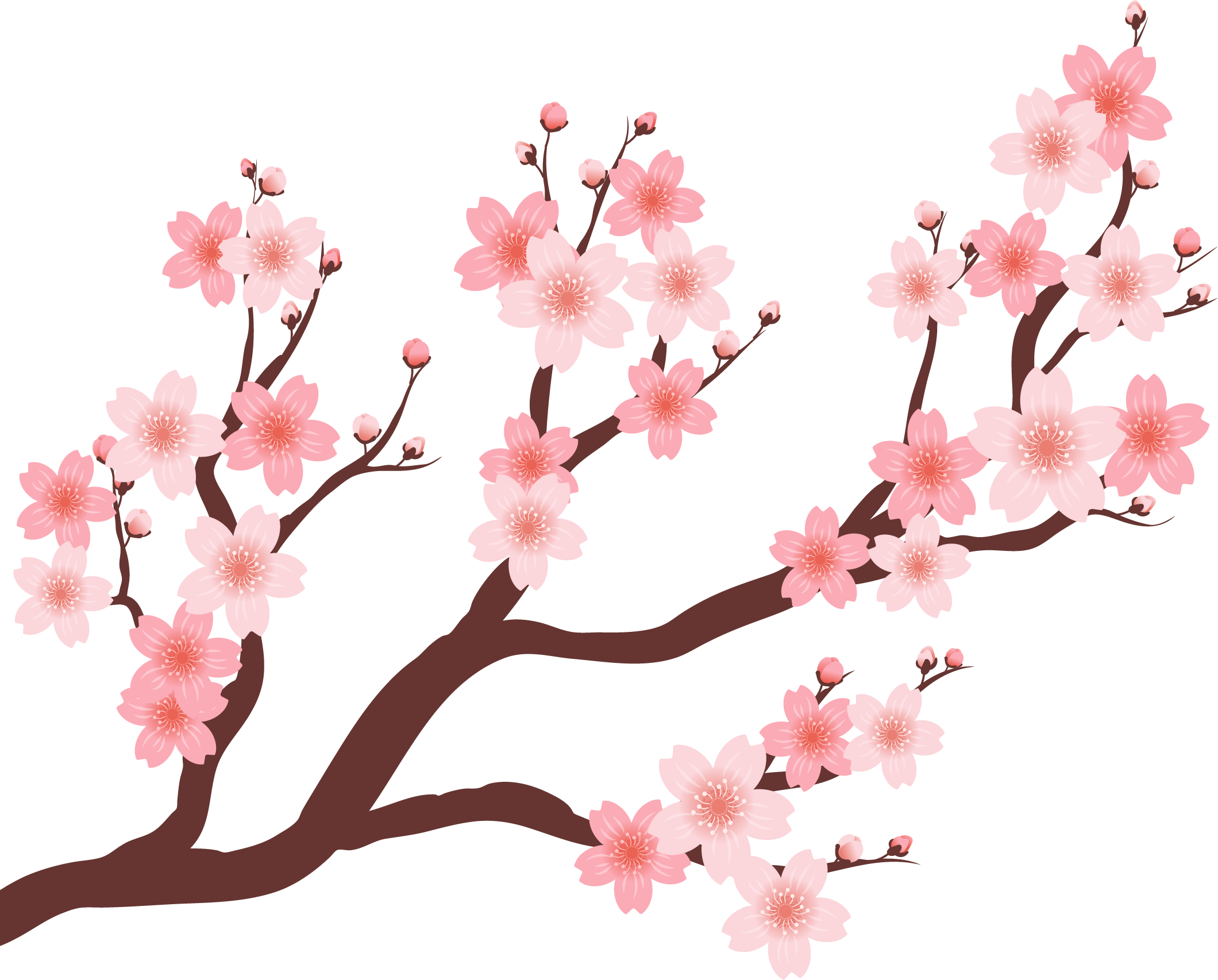 Cherry Beautiful Tree - Baju Setelan Ethica Terbaru 2019 (2120x1706)