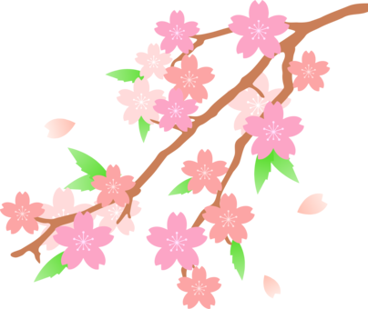 Cherry Japan Flower Free - Cherry Blossom Flower Drawing (404x340)