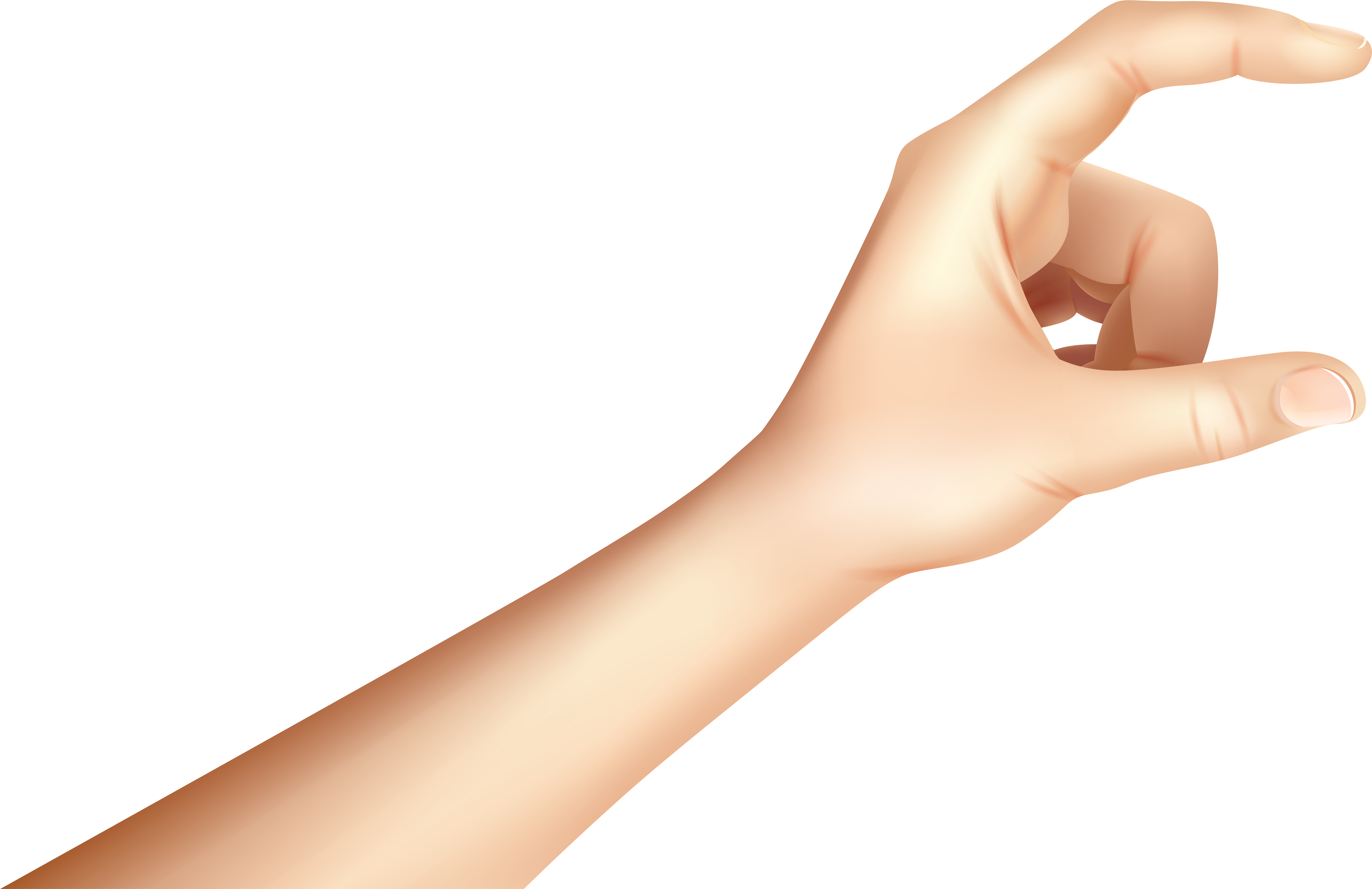 Holding Hand Png Clip Art - Hand Holding Something Png (8000x5235)
