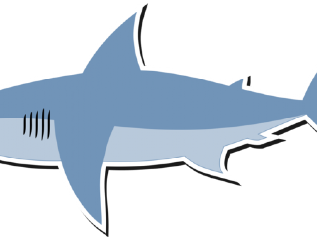 Bull Shark Clipart Shark Cage - Shark Clipart (640x480)
