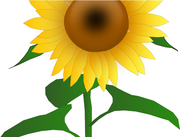 Sunflower Clipart September - Sunflower Clip Art Art (640x480)