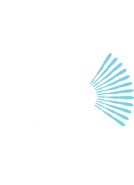 Burst Svg Clip Arts 432 X 595 Px - Burst Svg Clip Arts 432 X 595 Px (432x595)