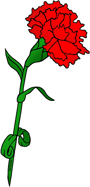 Flower , Png Download - Flower , Png Download (294x606)