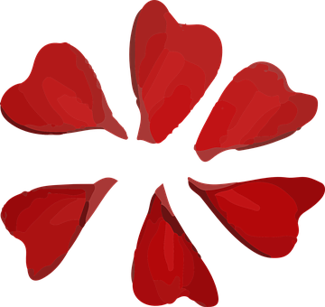 Flower, Petals, Red, Petals, Petals - Petali Disegno (360x340)