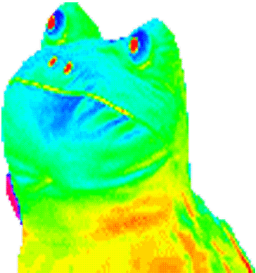 Pepe The Frog Rainbow Gif (400x400)