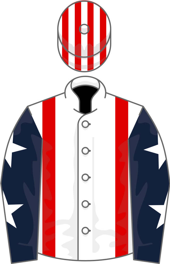 Owner Steeplechase Times International - The Grand National (656x1024)