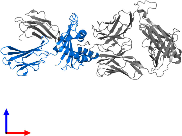 <div Class='caption-body'>pdb Entry 5euo Contains 1 - Illustration (800x800)