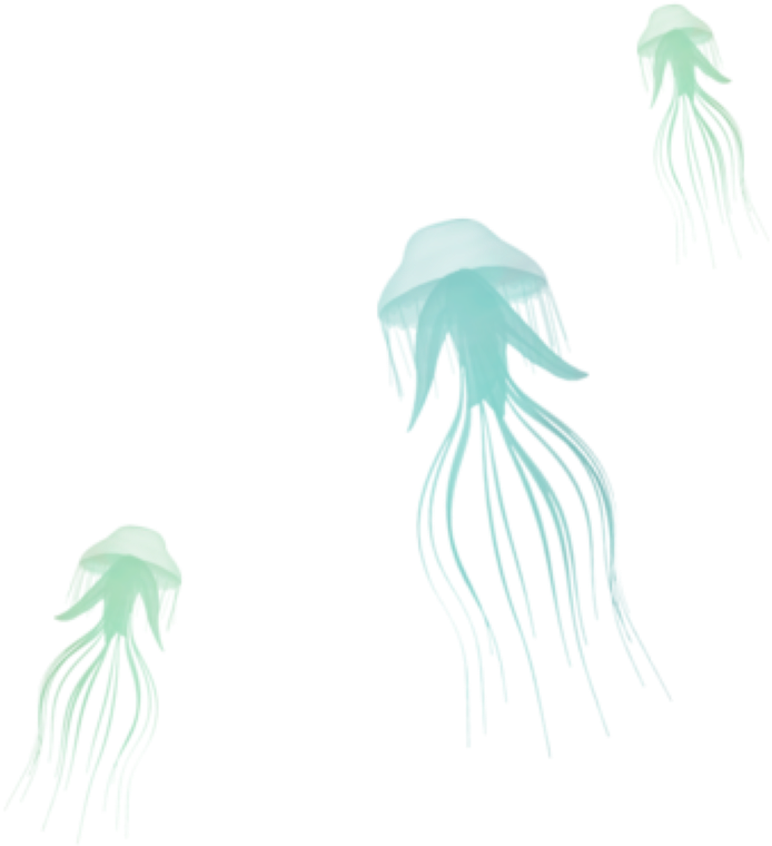 Agua Viva By Hanjorafael Agua Viva By Hanjorafael - Illustration (1024x993)