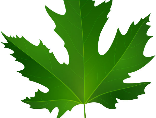 Green Leaves Clipart Coconut Leave - Autumn Leaves Red No Background (640x480)
