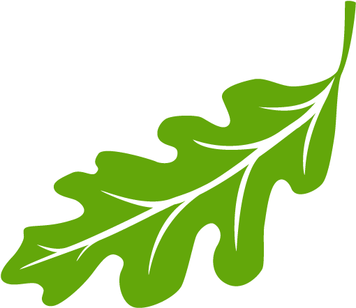 Leaf Logo 512×512 - Leaf Logo 512×512 (512x512)