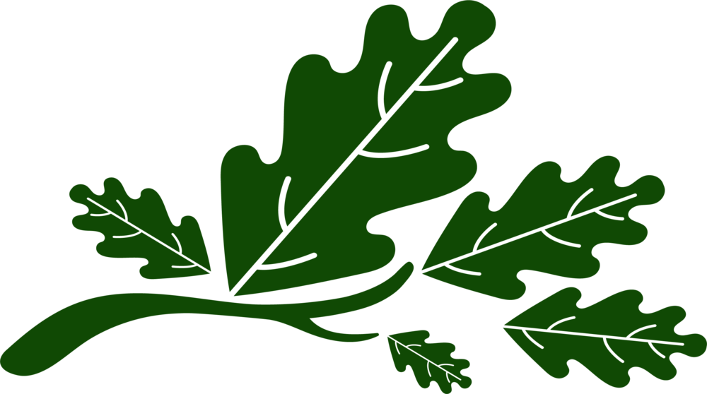 Five Oaks Leaves - Five Oaks Leaves (1000x558)