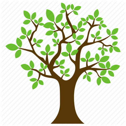 Charter Evergreen Forestry Shrub - Illustration (512x512)