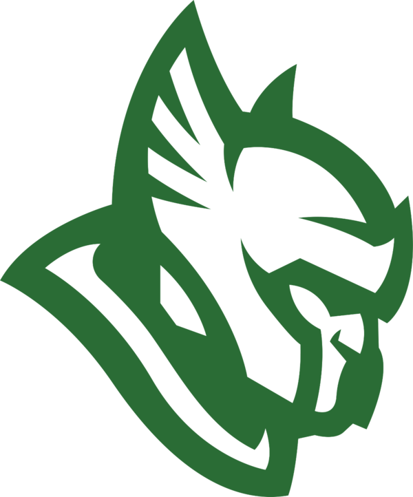 Liquipedia Counter Strike Wiki - Heroic Cs Go (600x722)