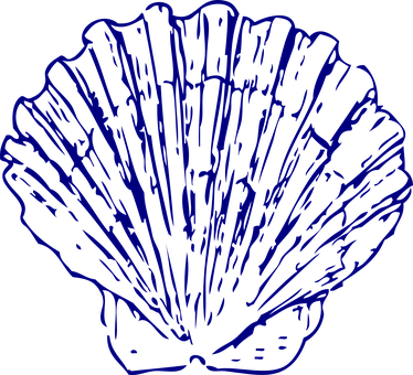Shell, Fan, Sea, Blue, Shell, Shell - Blue Sea Shell Clip Art (374x340)
